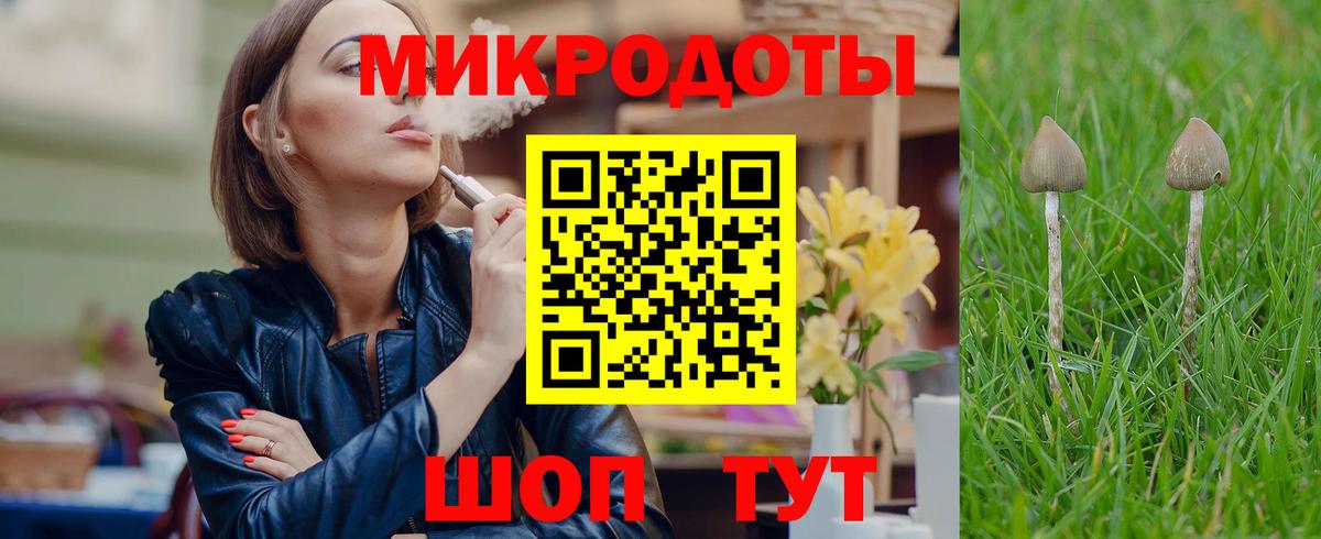 Галлюциногенные грибы Psilocybine cubensis Егорьевск